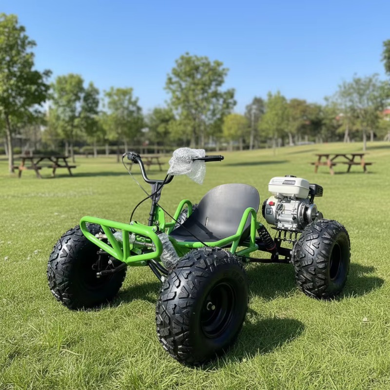 212CC 4 Stroke Pedal Go Kart I - đánh giá và giá Outdoor Power And Pedal